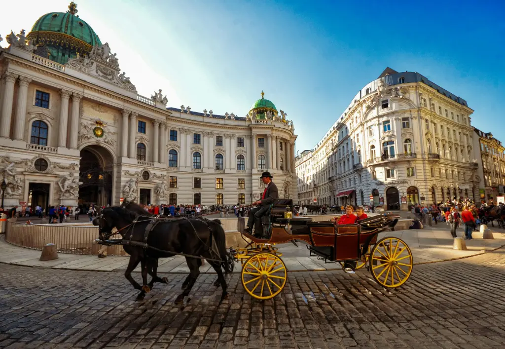 MFC-Viena