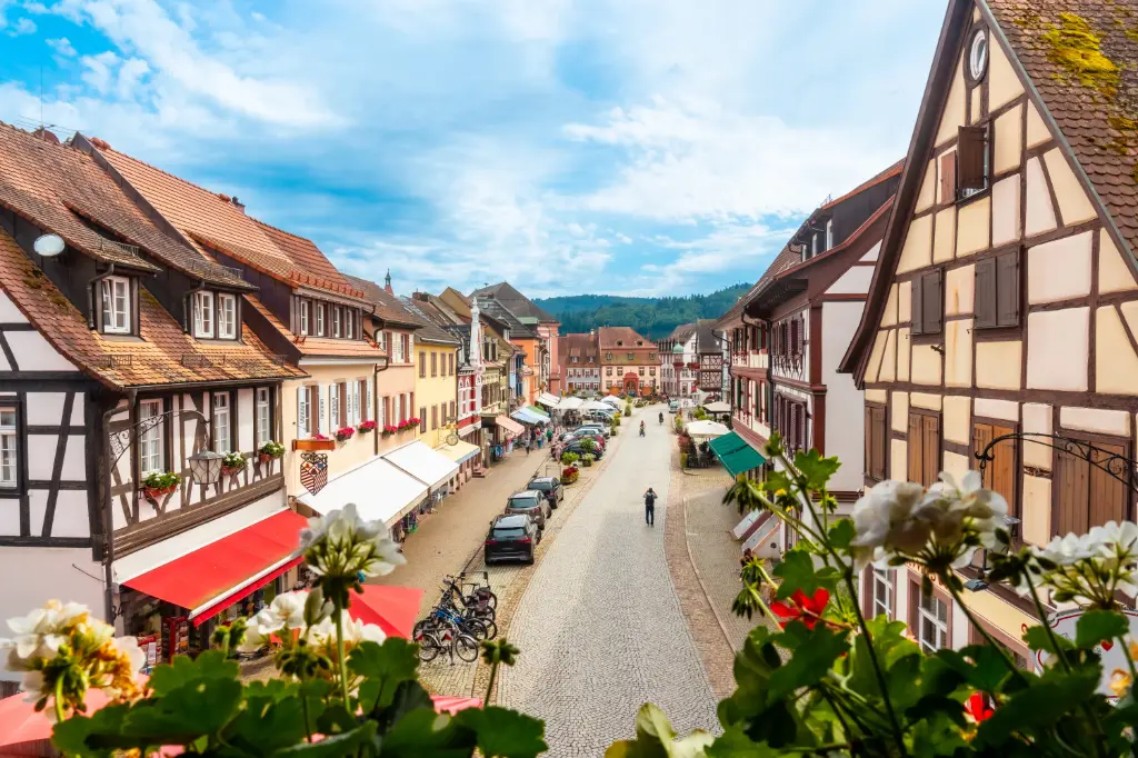 MFC-ALSACIA Y SELVA NEGRA